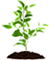 Green Practices