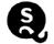 QSI Incorporated